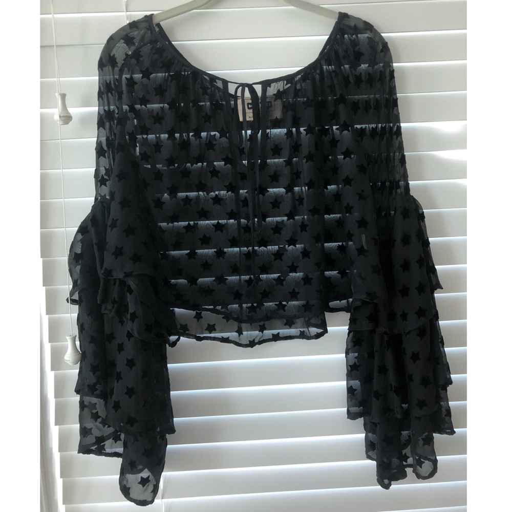Stone Cold Fox beautiful chiffon and velvet blouse